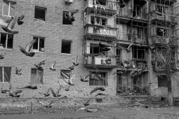 В Курске пройдет выставка фотографий Руслана Журкина