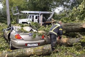 Ураган оставил без света 10 тысяч человек
