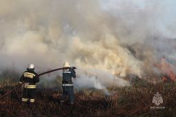 В Курской области со спутника зафиксировано около 1000 термоточек