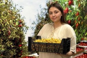 Пилим контент