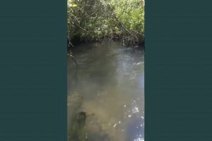 Железногорску помогут деньгами