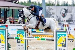 Куряне выиграли чемпионат и первенство ЦФО по конкуру