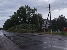 В Курской области после урагана без света остаётся 31 населённый пункт