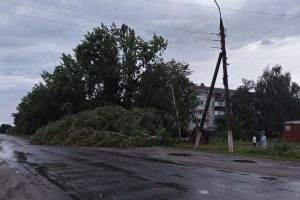 В Курской области после урагана без света остаётся 31 населённый пункт