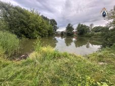 В Курской области утонула годовалая девочка