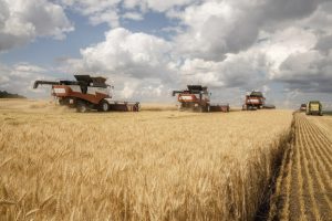 Уборочная на финише