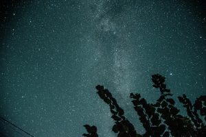 Курян ждёт месяц звездопадов