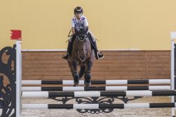 Курская конноспортивная школа получила новое оборудование