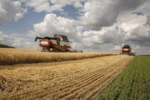 Минсельхоз поддержит аграриев