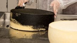 Курский сыродел участвует в масштабном фестивале «Вкусы России»