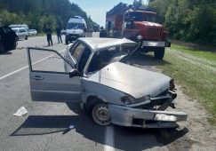 В Курской области в лобовом ДТП погибли двое мужчин