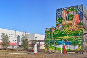 Художники расписали стены фабрики