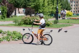В Курске появились новые улицы Букетная, Грибная и Желанная