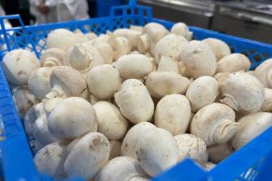 Проблему не решить в одночасье