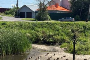 Песок в реке – лишний