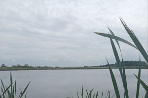 Бесконечная история