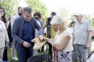 Наука плетения