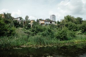 Куряне не видят берегов