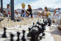 Курские педагоги смогут пройти курсы по шахматам