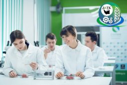 Курская область получит 700 миллионов на развитие агрокластеров