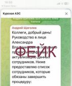 В Telegram появились фейковые аккаунты руководства Курской АЭС