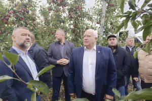 Сады Курской области