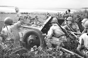 Укротительница «Тигров»