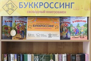 Александр Хинштейн поручил установить в Курской области шкафы для книгообмена