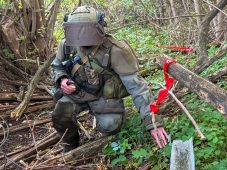 В Курской области разминировали почти 100 га территории