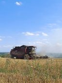 В Курской области продолжается уборка масличных культур