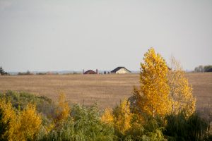 В Курской области 9 октября ожидаются кратковременные дожди