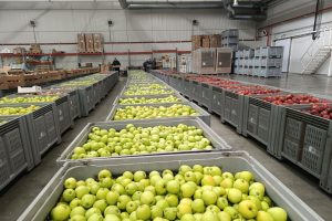 Сады Курской области: депутаты оценили состояние отрасли и перспективы развития