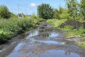 На Золотой Колос не хватило асфальта