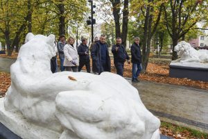 Камеры приучат к бережливости