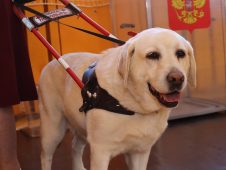 Жительница Курска пришла на избирательный участок с собакой-поводырем