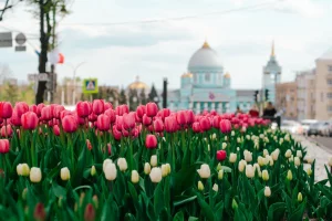 Губернатор поздравил курян с 993-летием областного центра