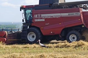 Уборка зерна завершена