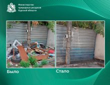 В Курске собственник земли убрал свалку после предостережения Минприроды