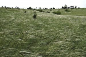 Холмы-останцы взяли под охрану