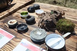 Добровольцы «Барс-Курск» разминировали 133,1 га земли