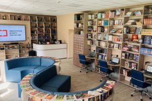 По «модельному стандарту»