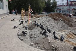 На «Куряночке» рабочие укладывают тротуарную плитку