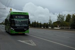 «Выделенки» ускорят движение