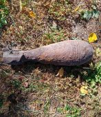 В Курской области нашли 82-миллиметровую мину