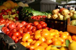 Фермеры привезли сотни тонн продукции на первую ярмарку «Осень» в Курске