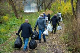 В Курске провели уборку вокруг Стрелецкого озера