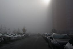 В ночь на 6 октября в Курской области ожидается туман