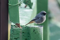 В выходные в Курскую область придет ненадолго летнее тепло