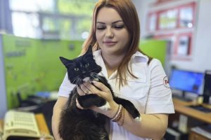 Мустафа, Помогайка и другие помощники