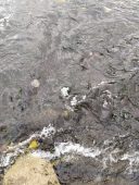 В Курской области погиб рыбак